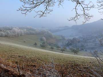 Feld und Wald