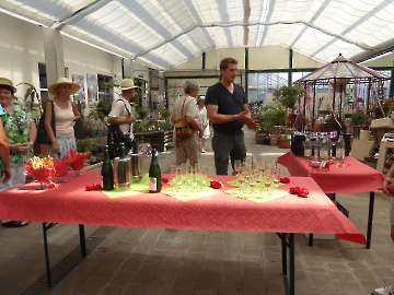 Weinsberger Rosenkulturen 2015
