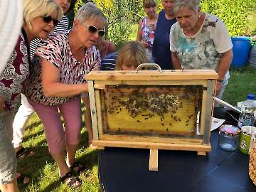 Bienenschautafel