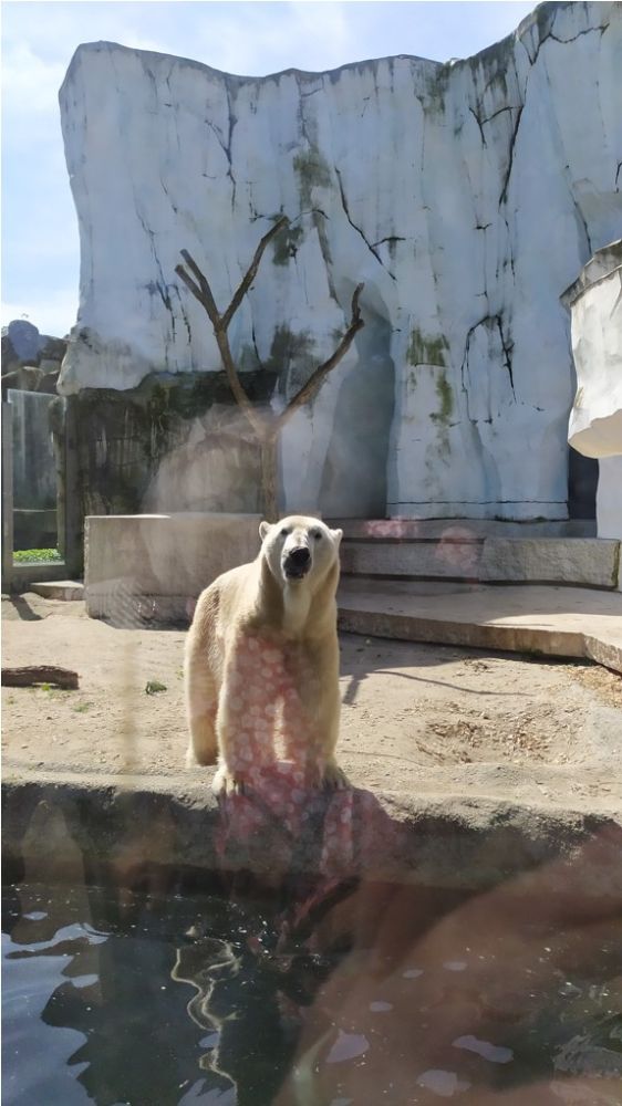 Zoo Karlsruhe 01