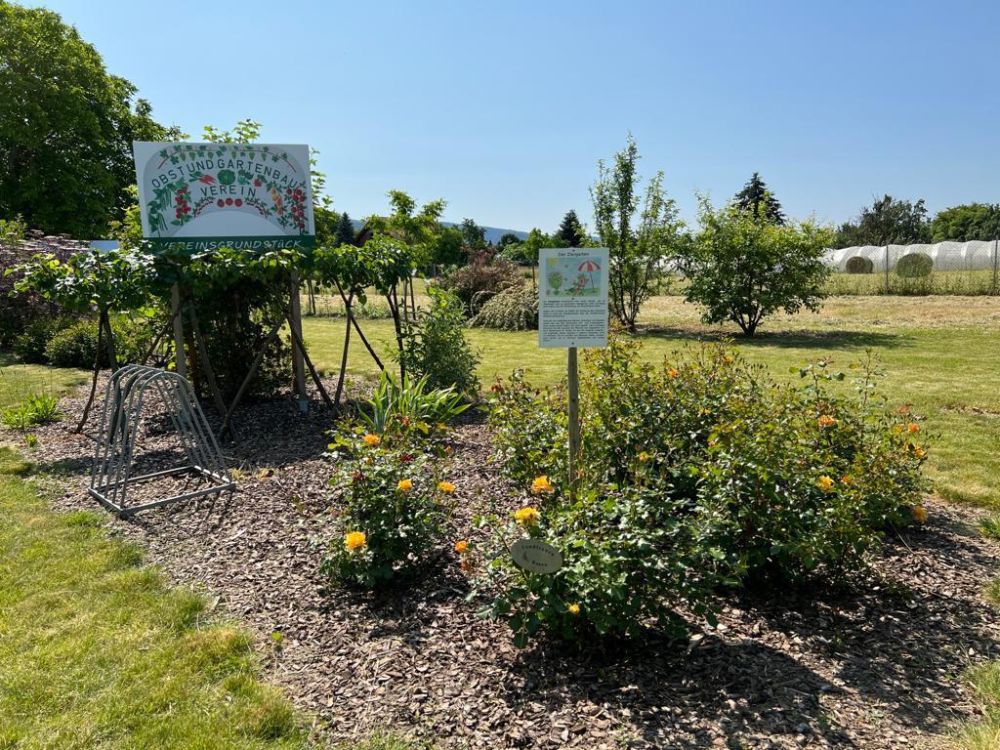 Sommerfest_2023