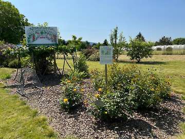 Sommerfest_2023