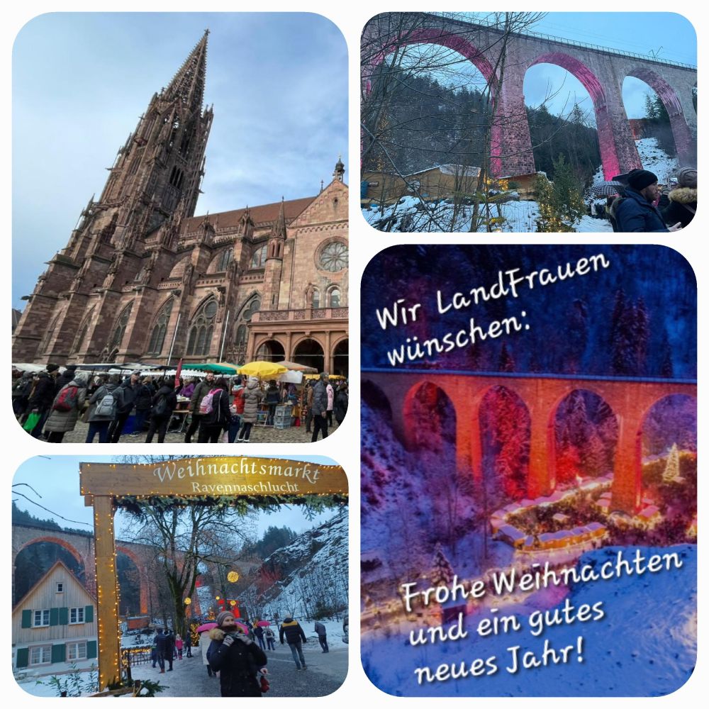 231216_Ravennaschlucht