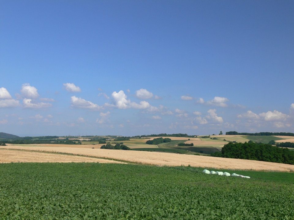 Gemarkung Eschelbach