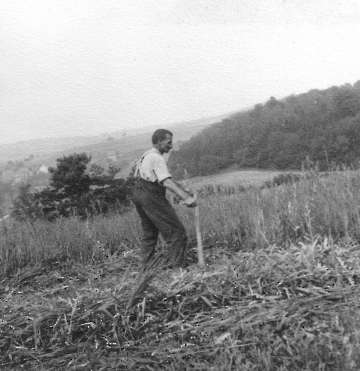 Grasschnitt anno 1900