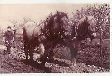Aus alten Zeiten