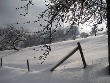 Schneedecke