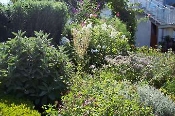 Staudengarten