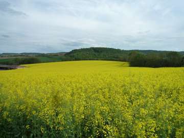 Land und Leute