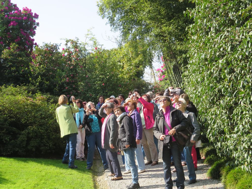 Landfrauen