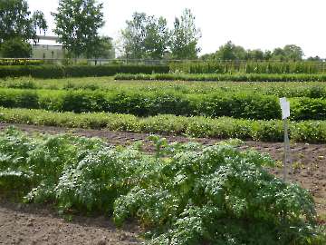 DHU 13.5.2015 028