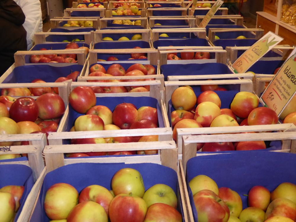 Apfel Landfrauen 24.2.16 010