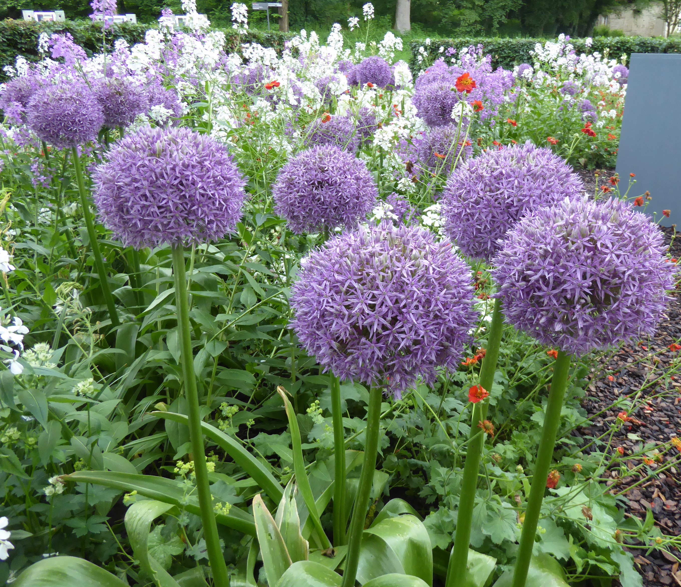 Landesgartenschau Öhringen LF 2.6.16 026