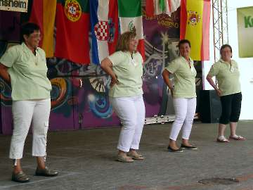 Aktionstag der LF in Sinsheim (9)