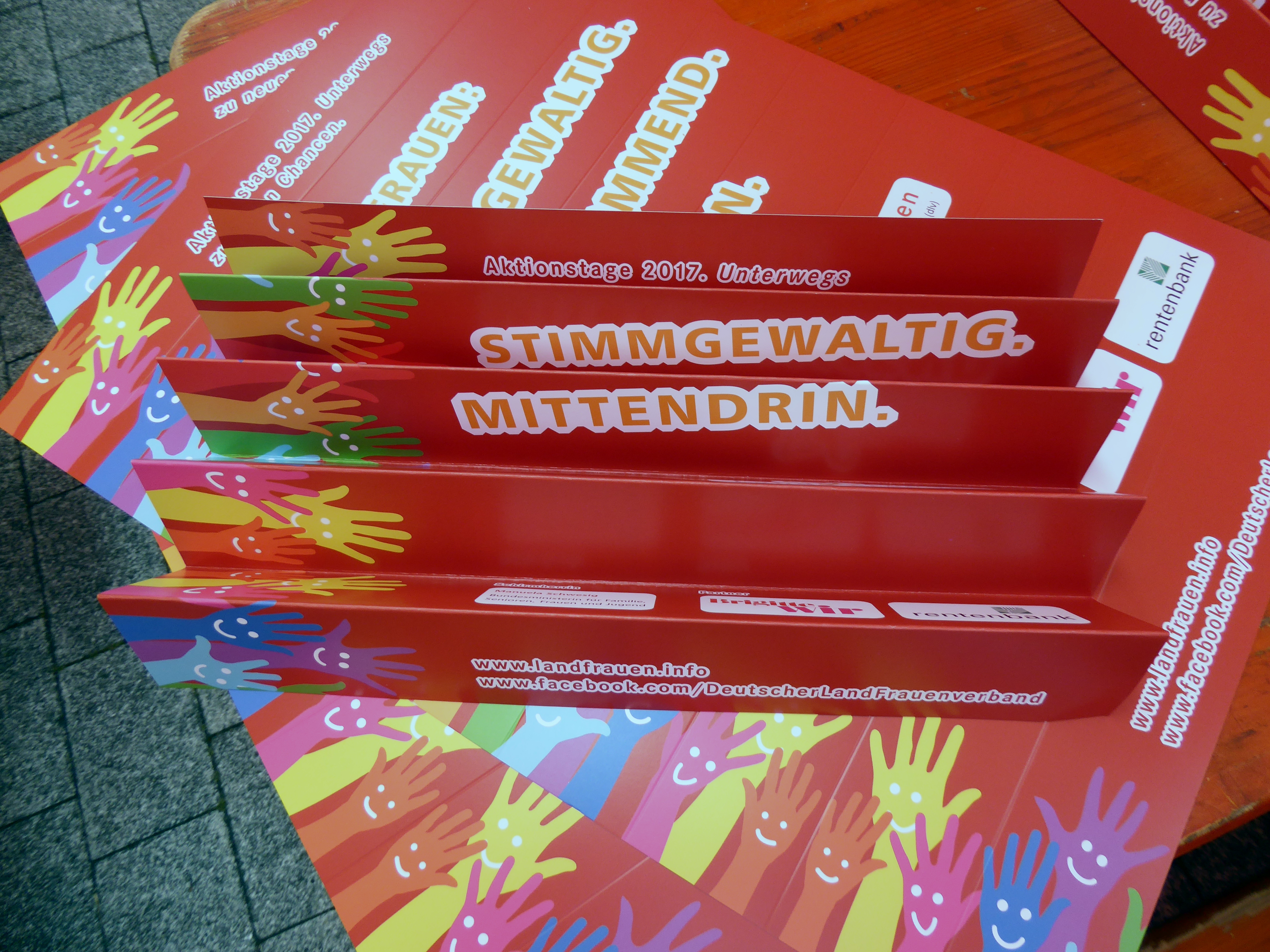Aktionstag der LF in Sinsheim (10)