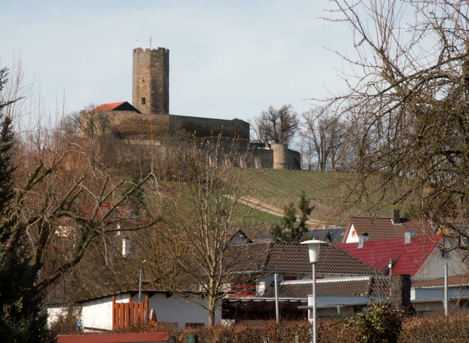 Burg Steinsberg