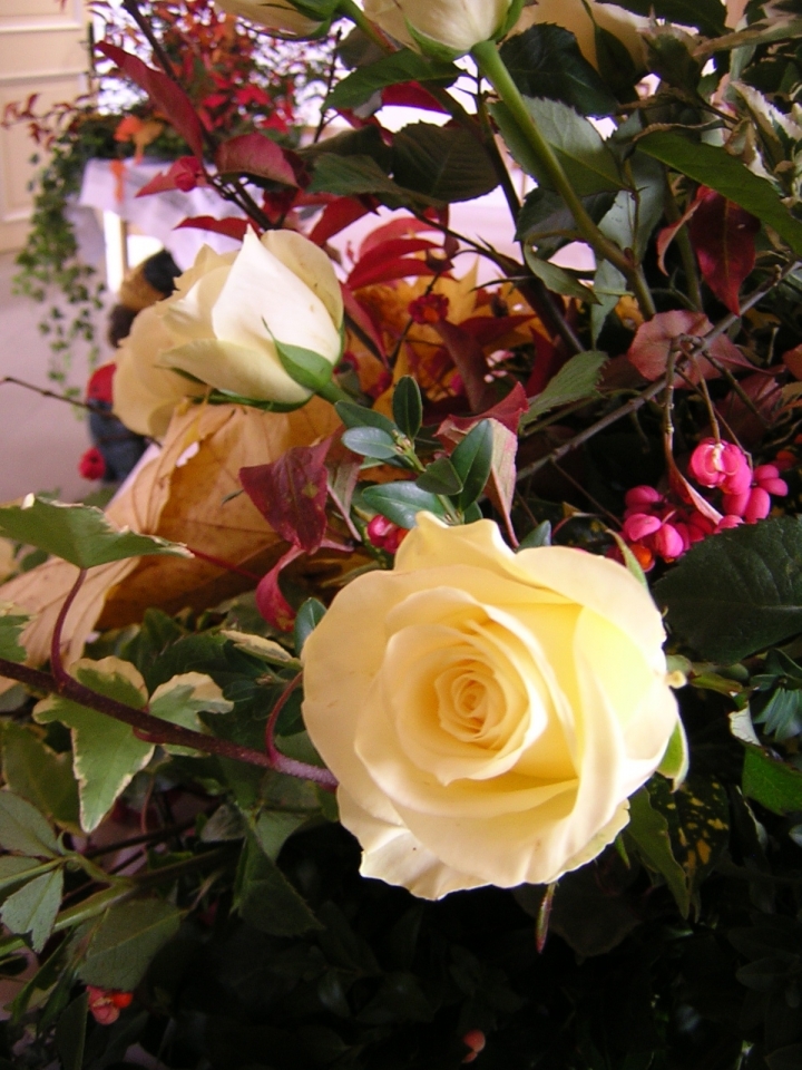Edle Rosen und Pfaffenhütchen in einem herbstlichen Gesteck